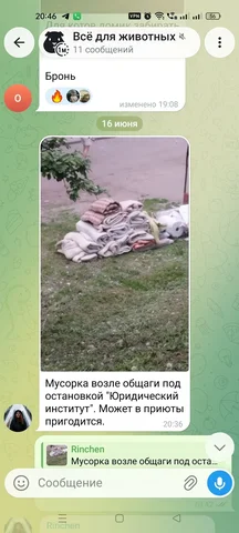 Потеряшка из Иркутска - Бездомные животные в Иркутск