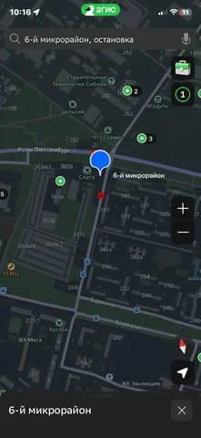 Потерялась кошка сфинкс в Иркутске - Потеря животного в Иркутск
