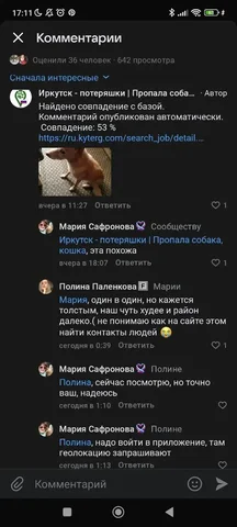 Потеряшка Оскар: ищу контакты автора фото - частное объявление в Иркутск