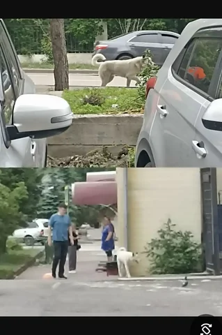 Потеря молодого парня в районе курорта Ангара - частное объявление в Иркутск