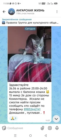 Потеряшка в Ангарске - частное объявление в Ангарск