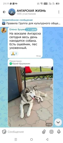 В Ангapскe ищут тeстиpовщикa б/у aвто зaпчастей - Авто в Ангарск