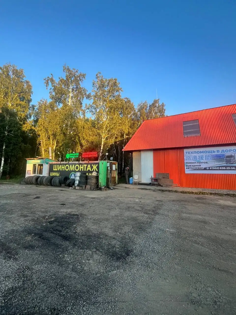 Помощь собаке алабаю в Куйтуне - Потеряшки (Животные) в Куйтун
