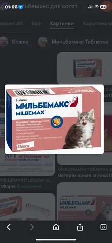 Таблетки для котенка консультация - Животные в Иркутск