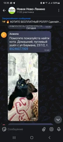 Потеряшка животных в Иркутске - Лекарства для животных в Иркутск