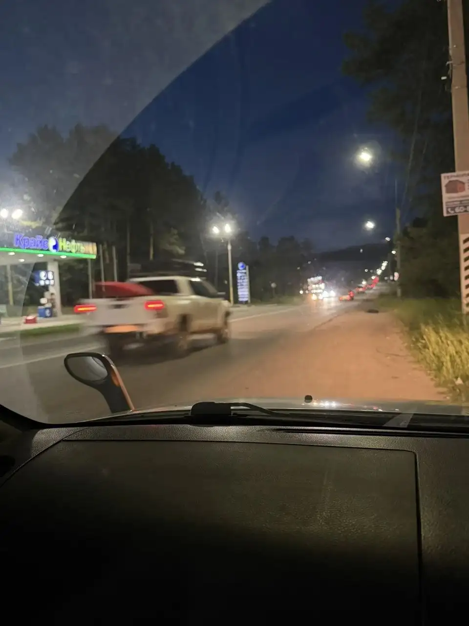 Найдена собака в районе Култукского тракта - Потерянные и найденные животные (Животные) в Иркутск