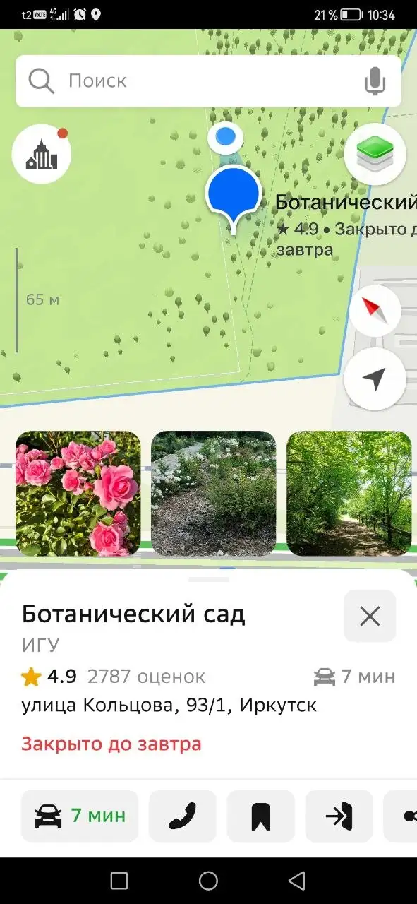 Собака, привязанная в лесу в Иркутске - Собаки (Животные) в Иркутск