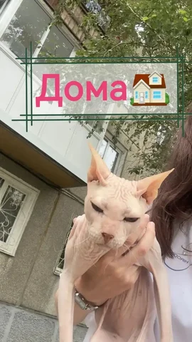 Щенок немецкой овчарки - Потеряшка в Иркутск