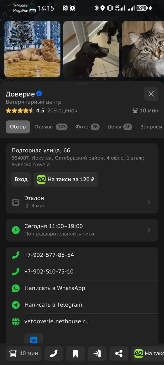 Экстренников обычно берет, далеко не записывает - Животные в Иркутск
