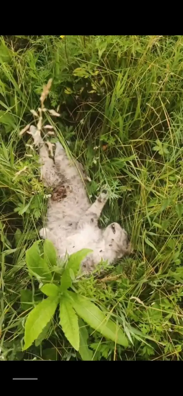 Продажа Нло - Барахолка в Иркутск