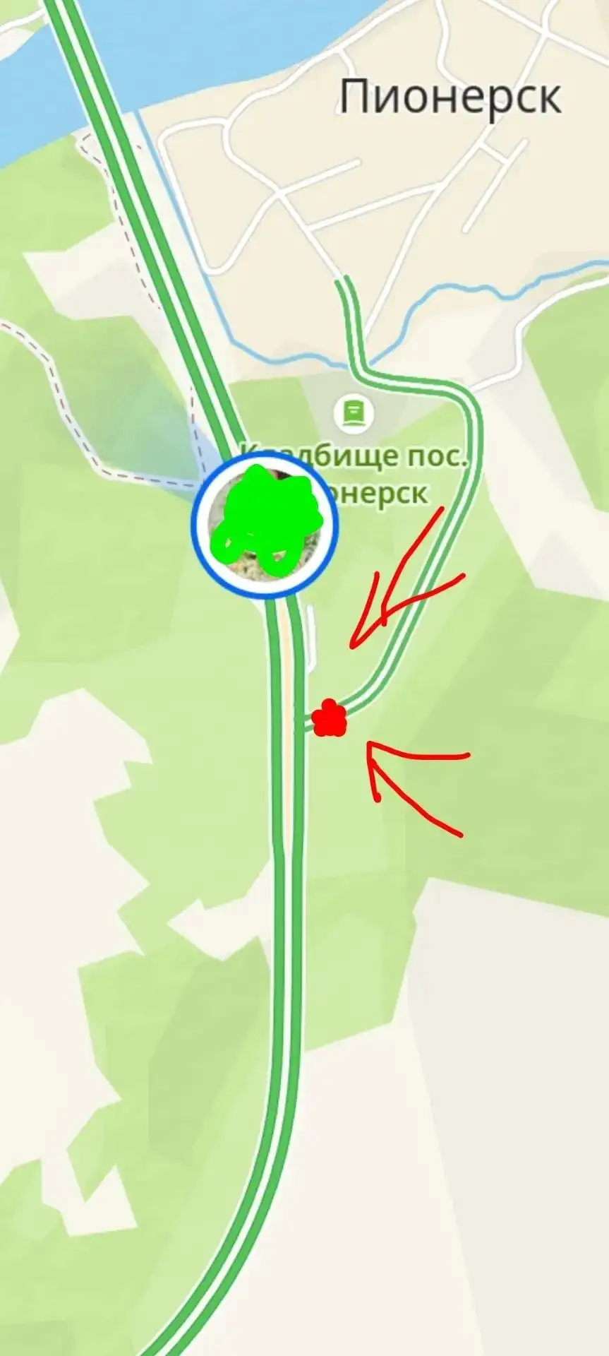 На Шелеховской объездной найдены две маленькие собачки, одна сбита - Животные в Иркутск