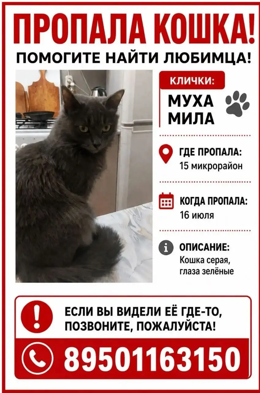 Потеряшка в Ангарске - Поиск животных (Животные) в Ангарск