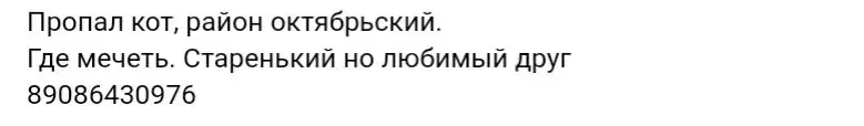 Найдена кошка в Иркутске - Барахолка в Иркутск