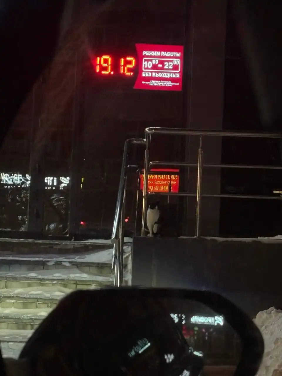 Потерявшаяся кошечка или кот в Иркутске