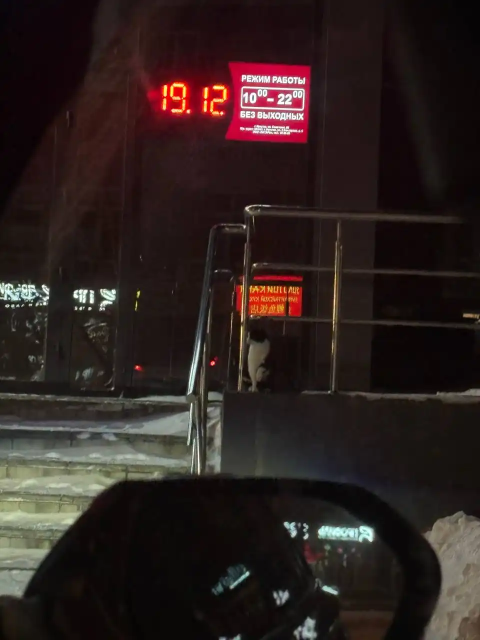 Потерявшаяся кошечка или кот в Иркутске