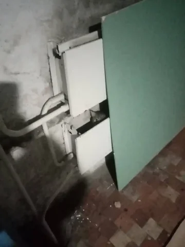 Потерянный кот в Иркутске на улице Достоевского - частное объявление в Иркутск