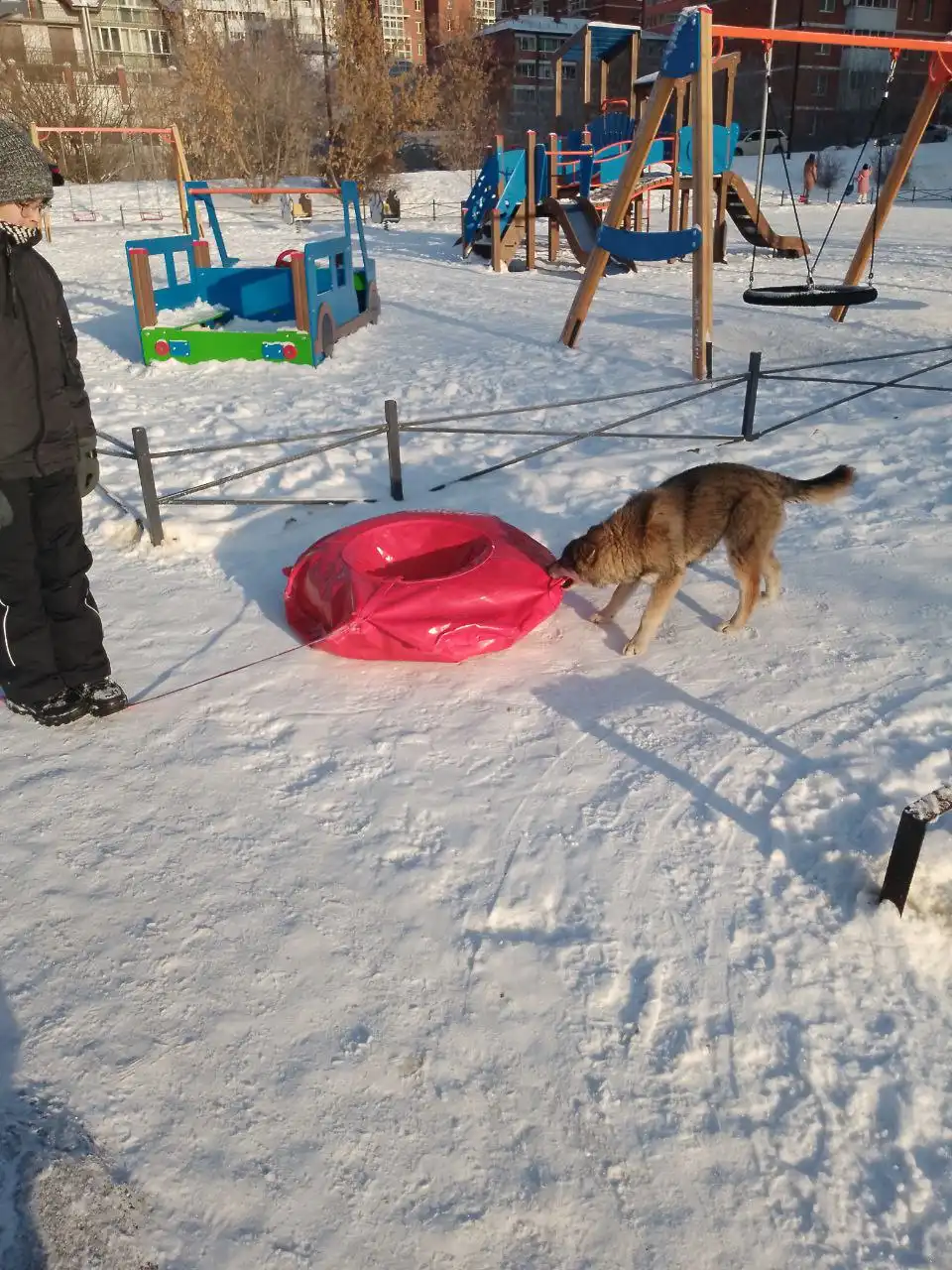 Потерянный щенок в Иркутске