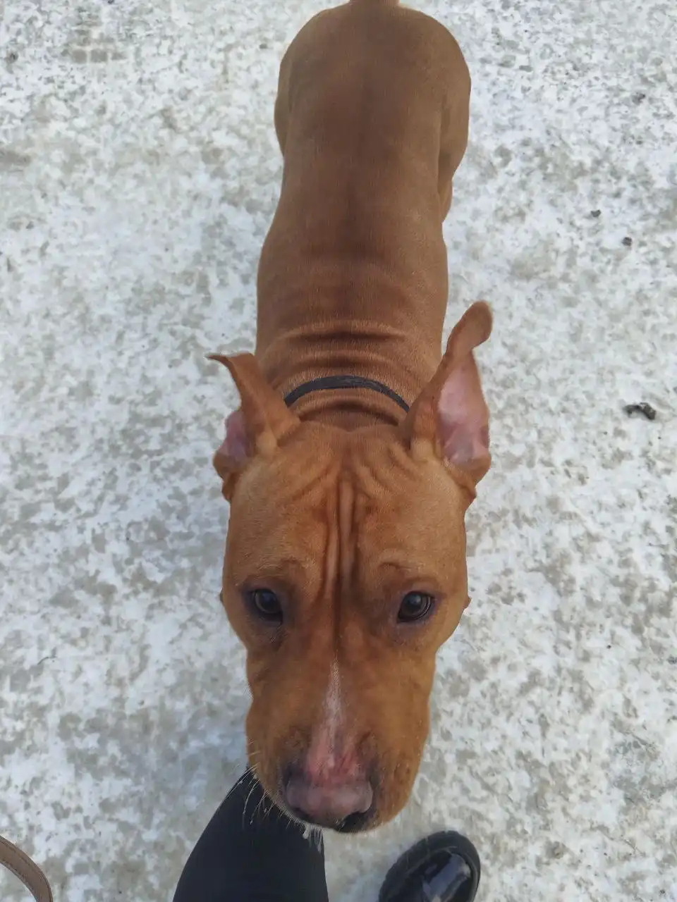 Найден парень в 120 квартале Иркутска