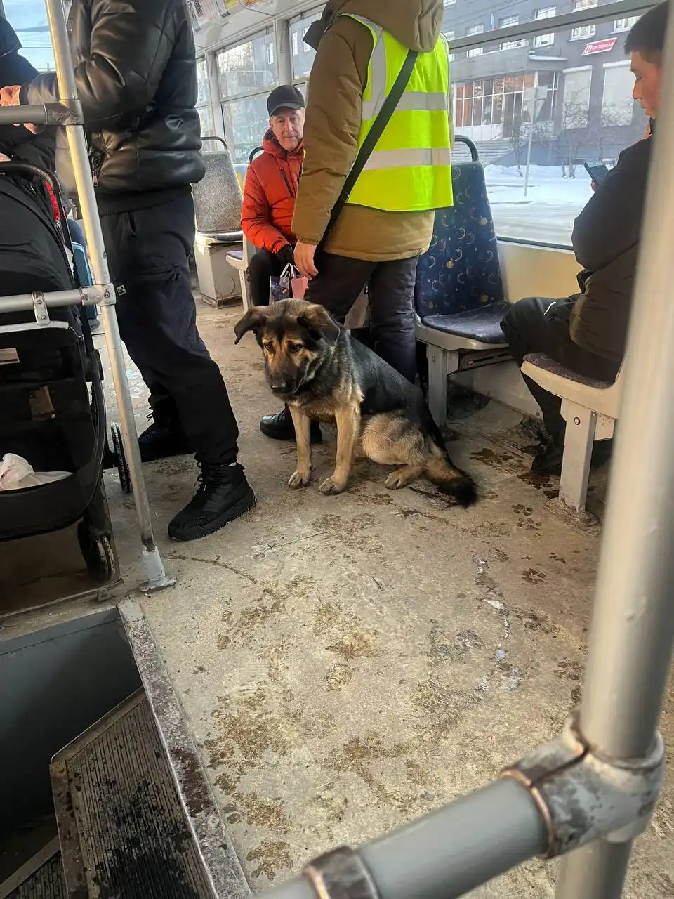 Потеряшка в трамвае