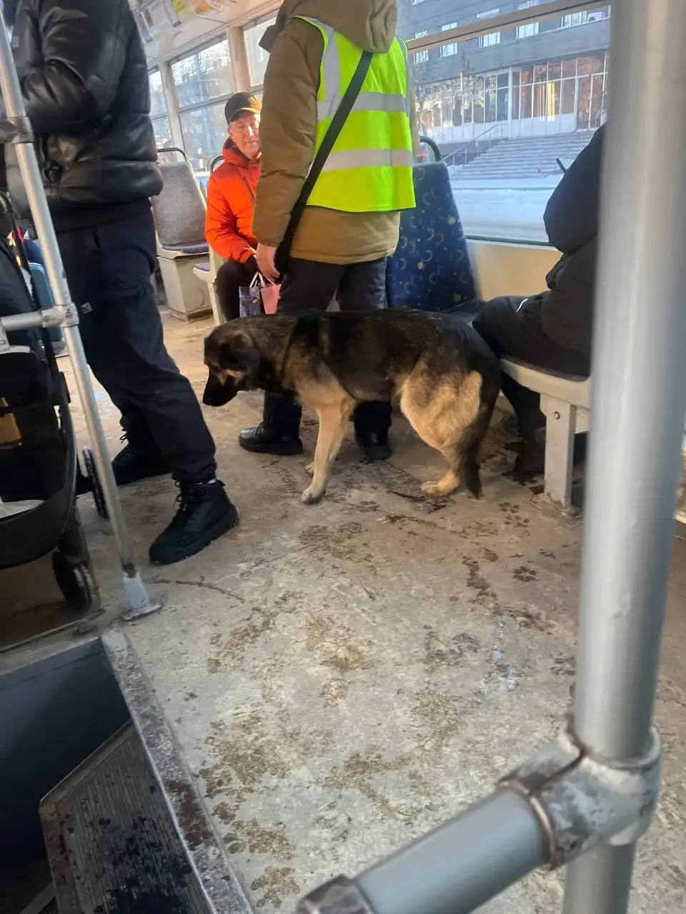 Потеряшка в трамвае