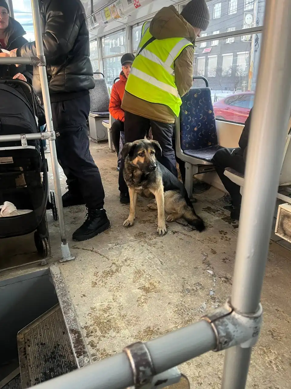 Потеряшка в трамвае