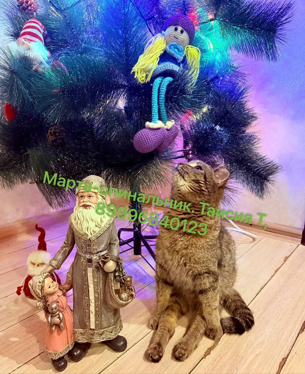 Потеряшка в Иркутске