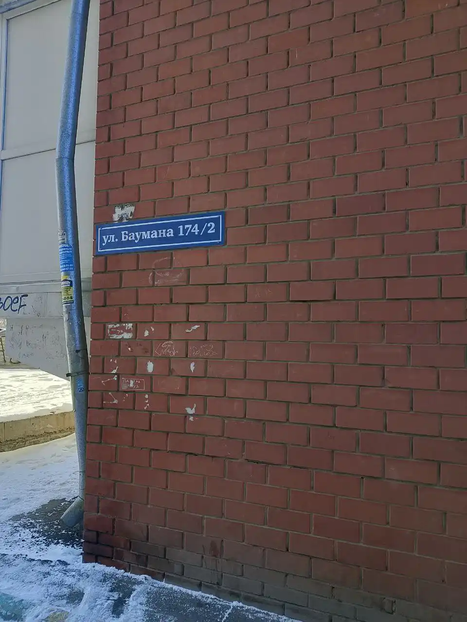 Потерявшаяся собака на улице Баумана - Животные в Иркутск