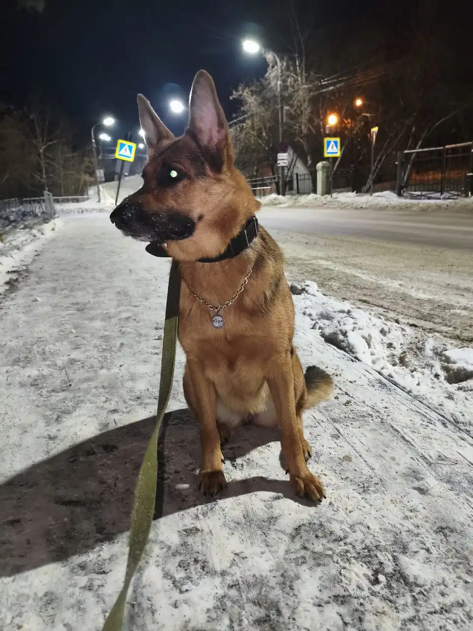 ПОТЕРЯШКА ИРКУТСК ЖИВОТНЫЕ