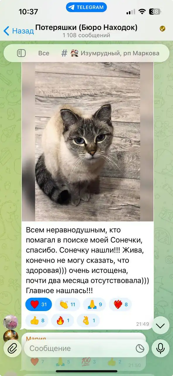 Потеряшка Иркутск Животные