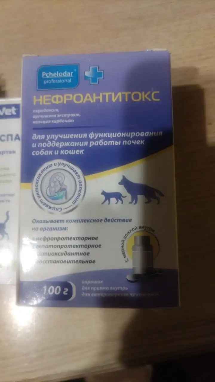 Отдам нового невскрытого питомца в Иркутске - Животные в Иркутск