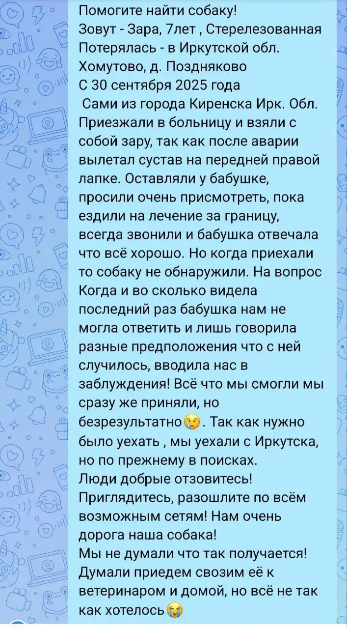 ПОТЕРЯШКА ИРКУТСК ЖИВОТНЫЕ - Животные в Иркутск