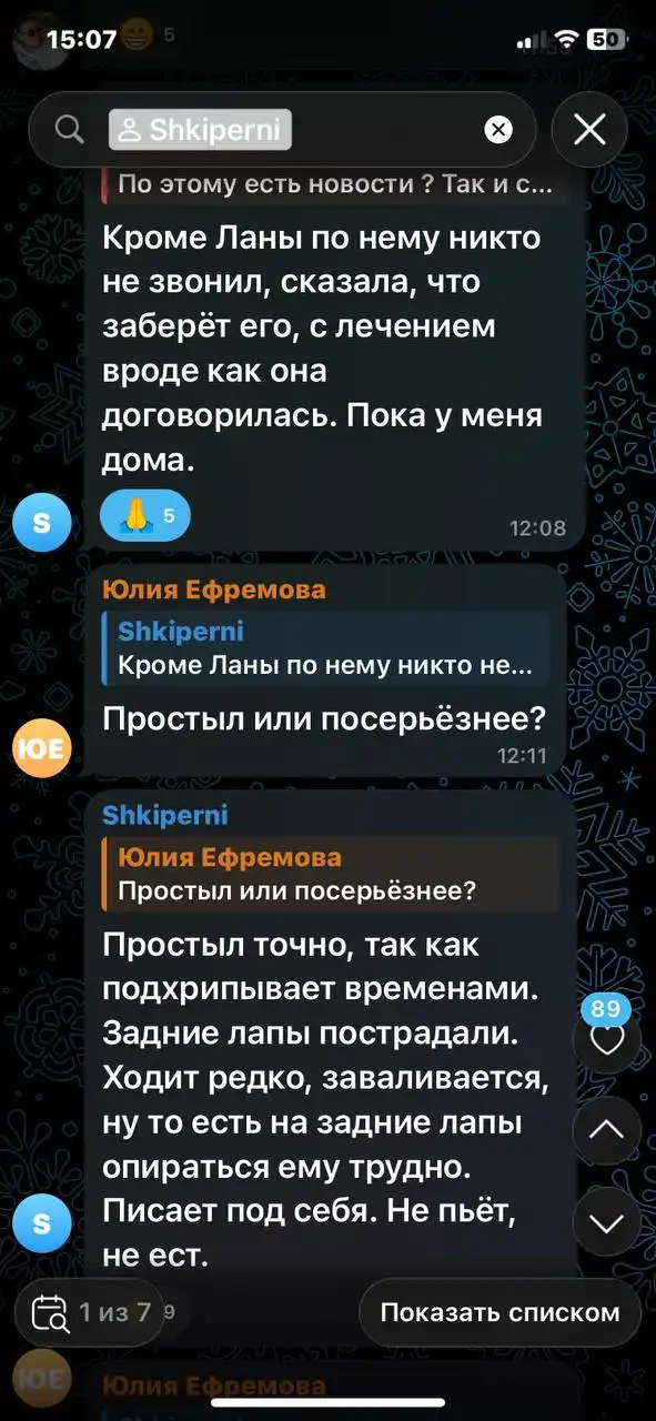 Пропавшая собака в Иркутске - Поиск животных (Животные) в Иркутск