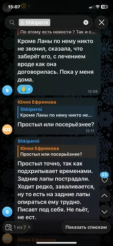 Пропавшая собака в Иркутске - частное объявление в Иркутск