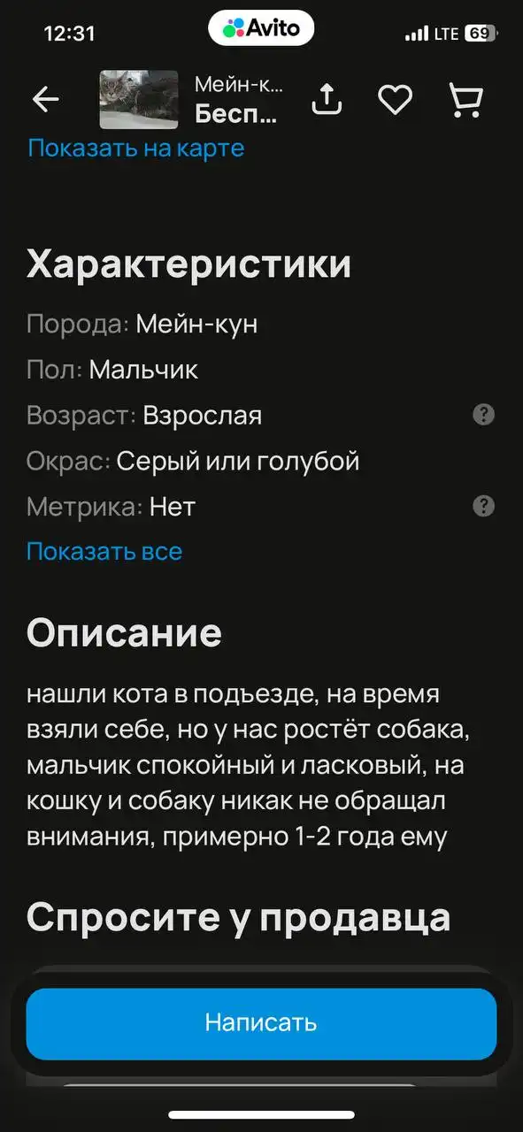 Потеряшка в Усолье-Сибирском - Потерянные животные (Животные) в Усолье-Сибирское