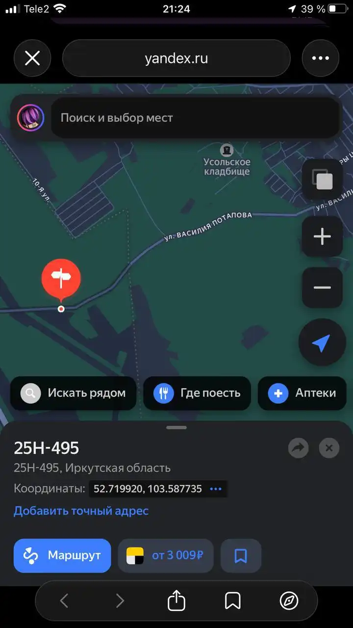 Найденная собака с кормом на трассе - Собаки (Животные) в Усолье