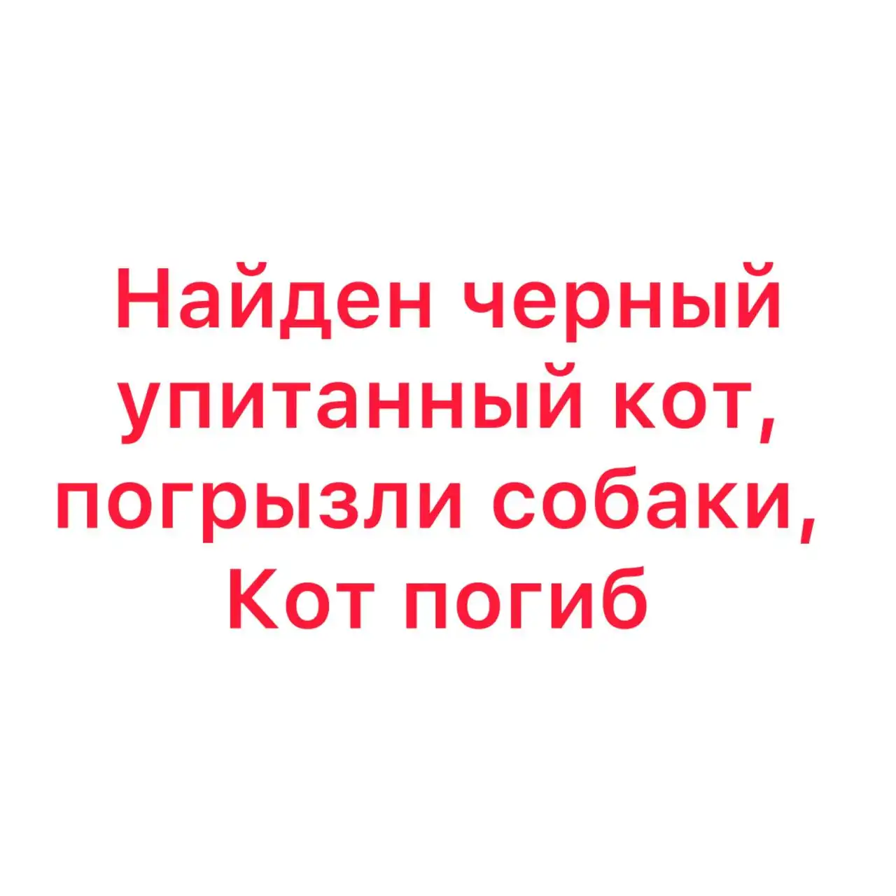 Потеряшка в Иркутске - Животные в Иркутск