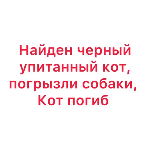 Потеряшка в Иркутске - Животные в Иркутск