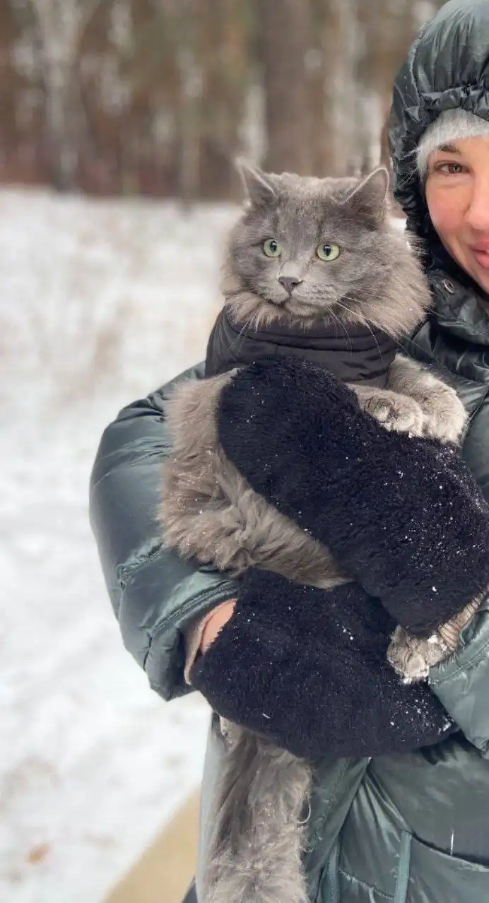 Потерялся кот Пепел в Иркутске - Животные в Иркутск