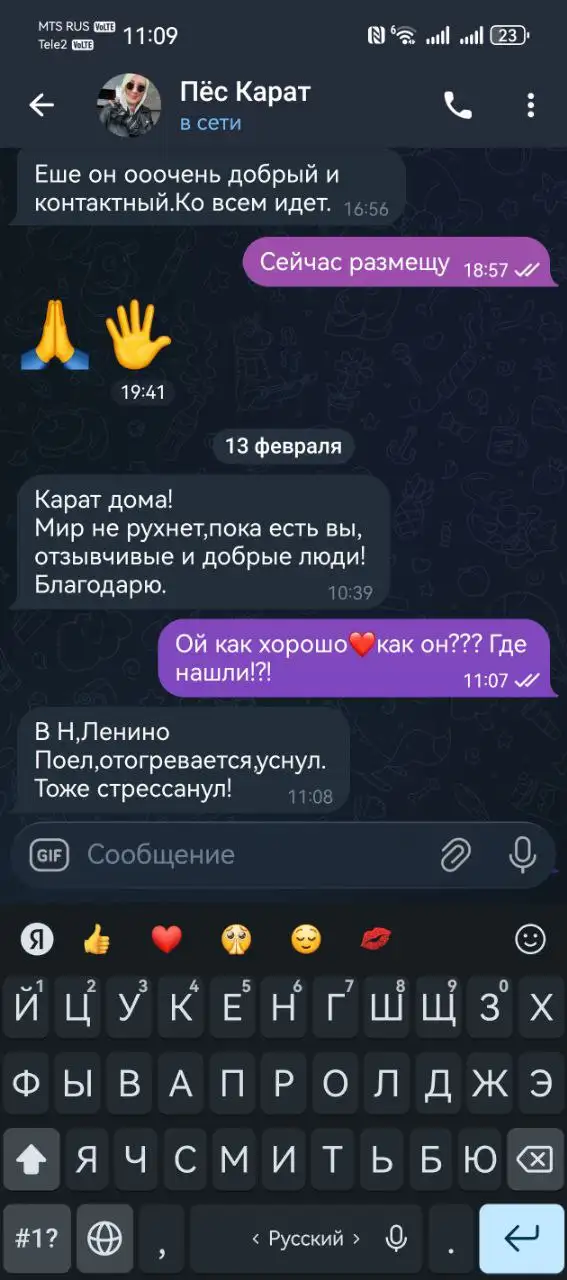 Песель дома - Животные в Иркутск