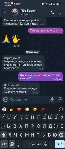 Песель дома - Животные в Иркутск