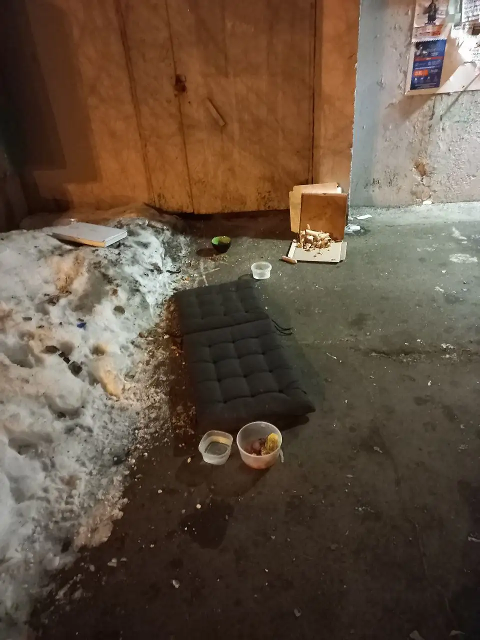 Потеряшка в Иркутске - Животные в Иркутск