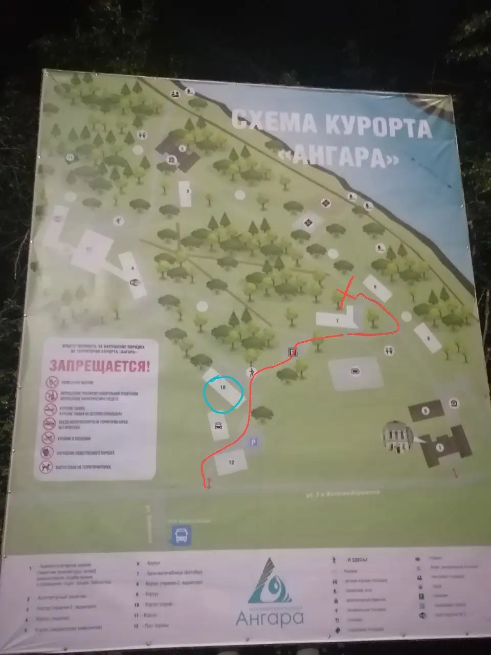 Потерянная собака в парке Курорт Ангара - Потерянные животные (Животные) в Иркутск