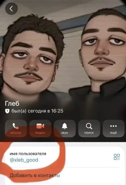 Предупреждение о людях, выбросивших щенков в Иркутске - Крупный рогатый скот в Иркутск