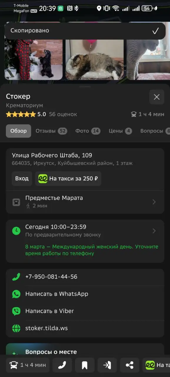 ПОТЕРЯШКА ИРКУТСК ЖИВОТНЫЕ - Животные в Иркутск