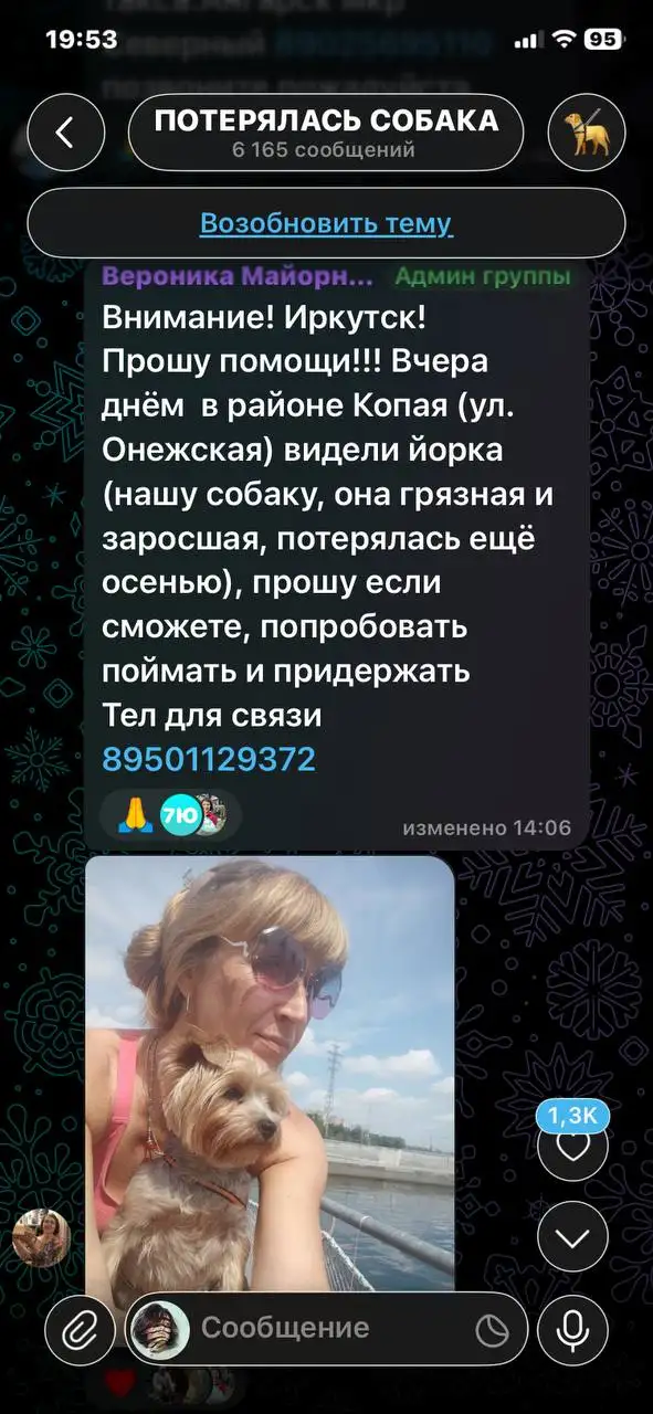 ПОТЕРЯШКА ИРКУТСК ЖИВОТНЫЕ - Животные в Иркутск