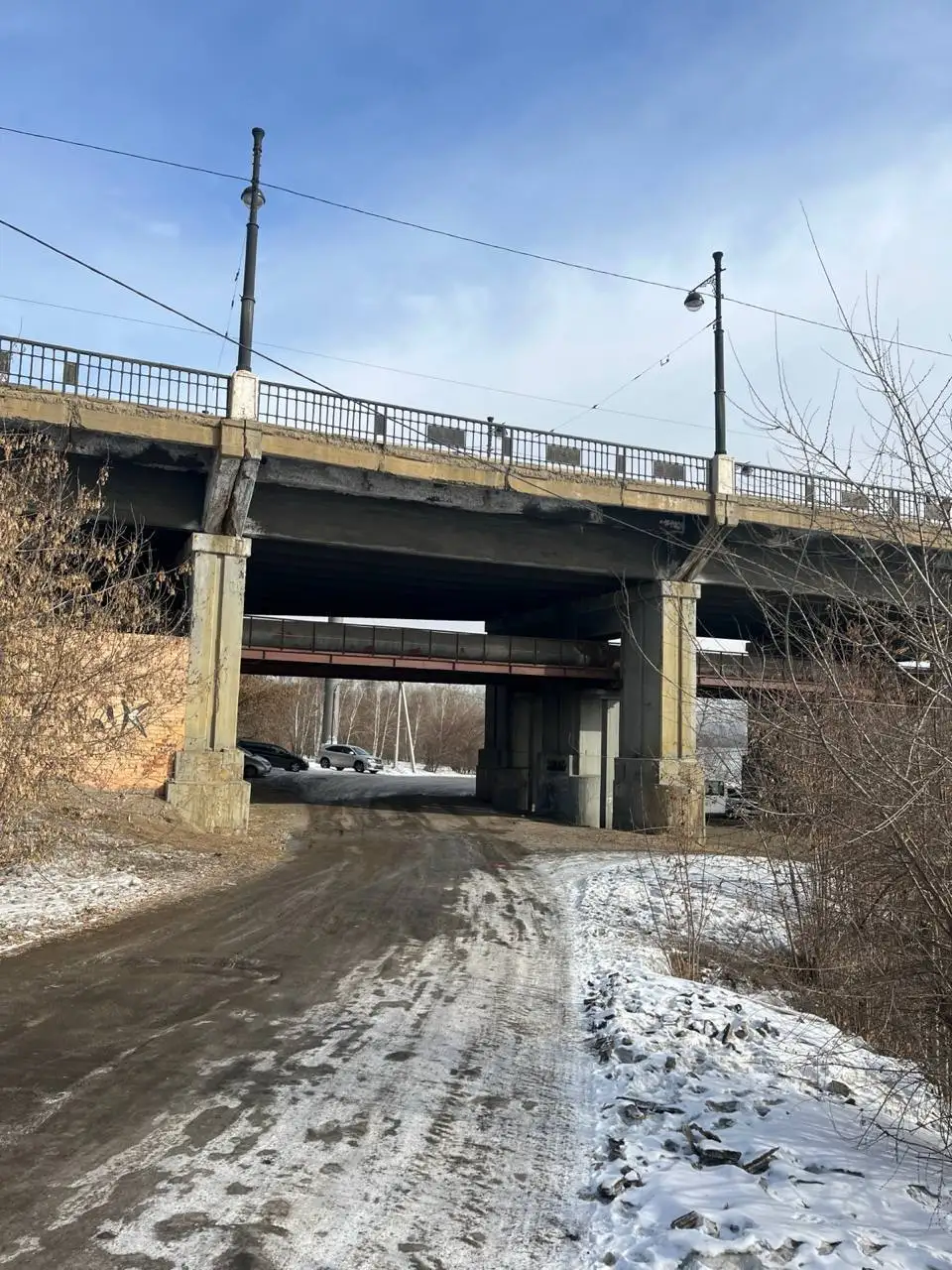 Помощь собаке в Иркутске - Животные в Иркутск