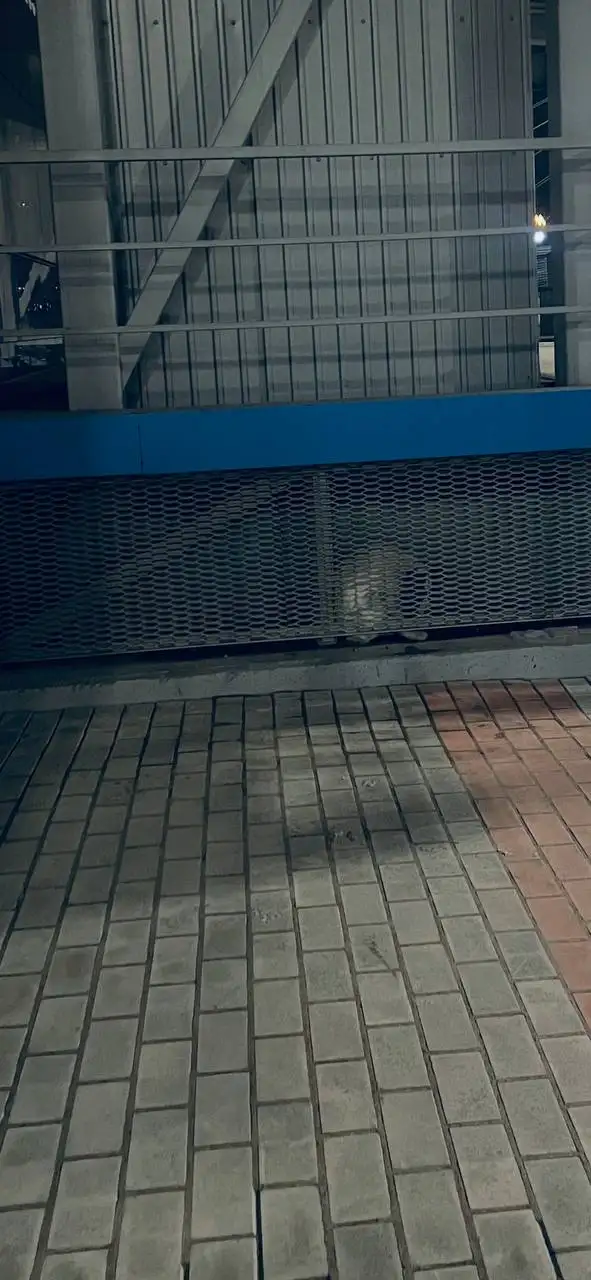 Найден щенок в Иркутске - Собаки (Животные) в Иркутск