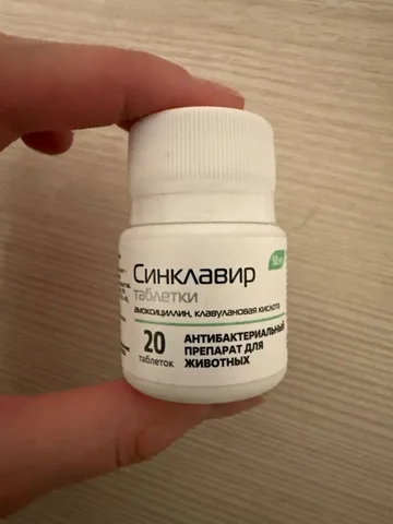 Отдам антибактериальный препарат для животных Синклавир - Птицы в Иркутск