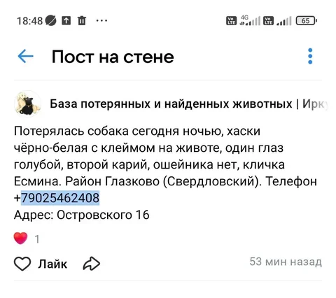 Потеряшка в Иркутске - частное объявление в Иркутск