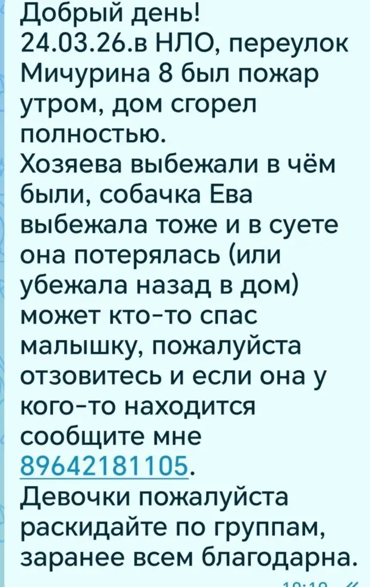 ПОТЕРЯШКА ИРКУТСК ЖИВОТНЫЕ - Животные в Иркутск